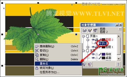 CorelDRAW手工设计时尚大气的环保宣传海报-自然之声