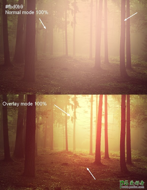 Photoshop笔刷+图层混合模式制造光芒四射的清晨森林唯美壁纸