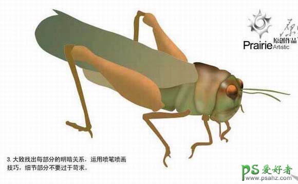 PS鼠绘教程：绘制逼真效果的蚂蚱，蝗虫图片素材
