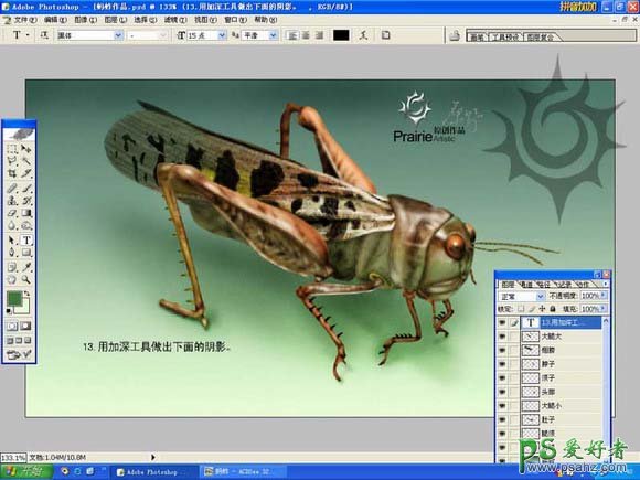 PS鼠绘教程：绘制逼真效果的蚂蚱，蝗虫图片素材