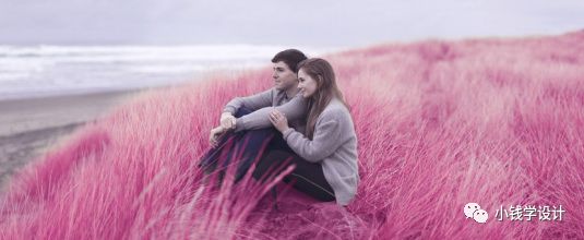 PS情侣照美化教程：后期给情侣写真照打造出漫红粉黛草梦幻效果。