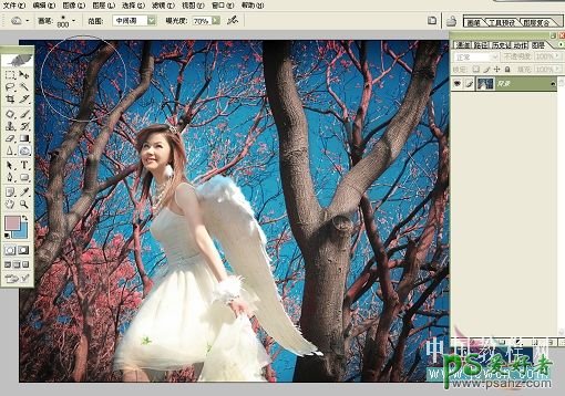 PS调色教程：给森林中的天使MM婚纱照调出梦幻效果
