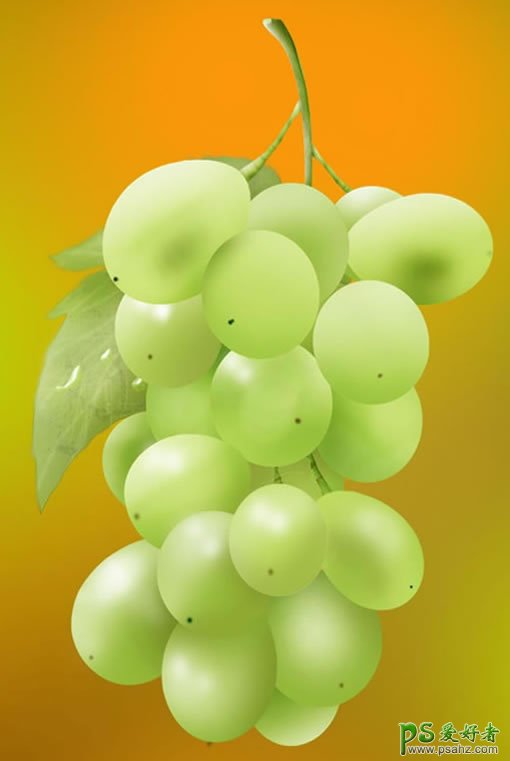马奶葡萄，白葡萄，晶莹剔透的葡萄 PS鼠绘教程 手绘精美的葡萄