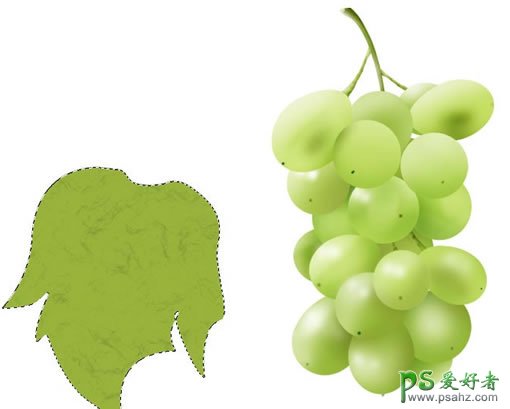 PS鼠绘教程：手绘精美的葡萄，马奶葡萄，白葡萄，晶莹剔透的葡萄