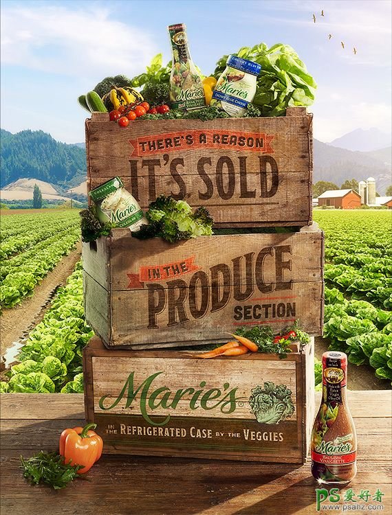 欣赏一组纯绿色生态食品宣传海报，生态食品平面广告设计作品。