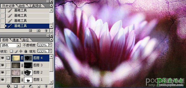 ps后期处理教程，巧用素材制作叠加暗调效果花朵图片