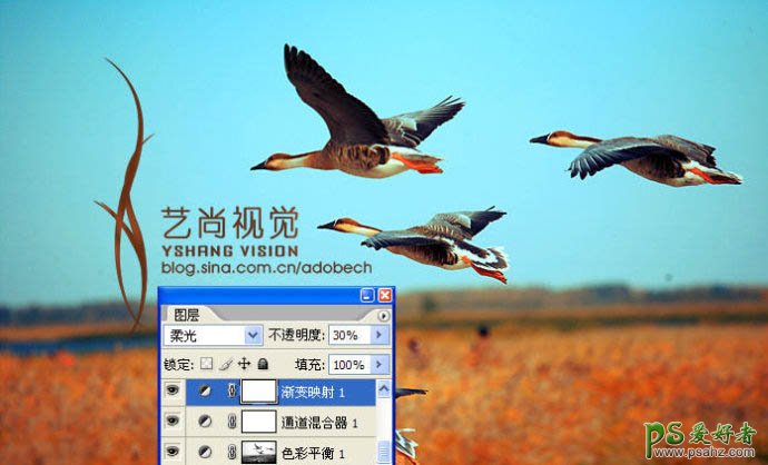 photoshop调出艺术视觉效果的大雁起飞图片