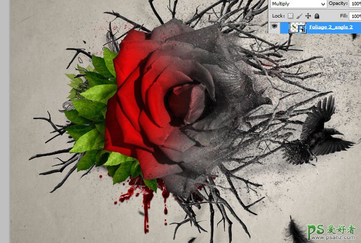 PS颓废海报制作：设计泼墨效果的玫瑰花海报，给人一种忧伤的情绪