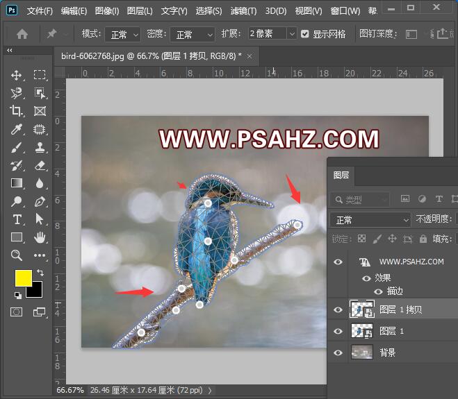 PS动态图片制作教程：使用操控变形工具制作动态的小鸟。