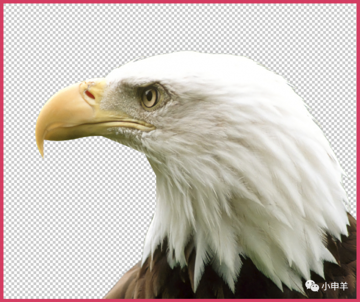 PS抠鸟类教程：利用画笔及蒙版工具快速抠出翱翔蓝天的雄鹰。