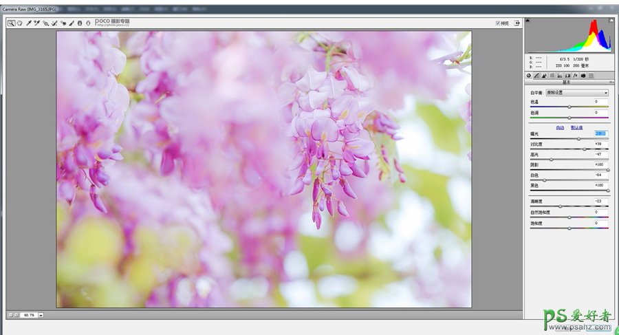 PS后期调色教程：学习给外景拍摄的桃花照片调出粉色主题效果