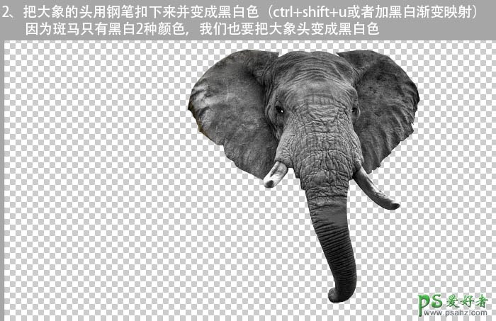 PS动物图片素材合成教程：创意合成一张可爱的长鼻子斑马图