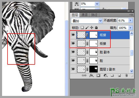 PS动物图片素材合成教程：创意合成一张可爱的长鼻子斑马图