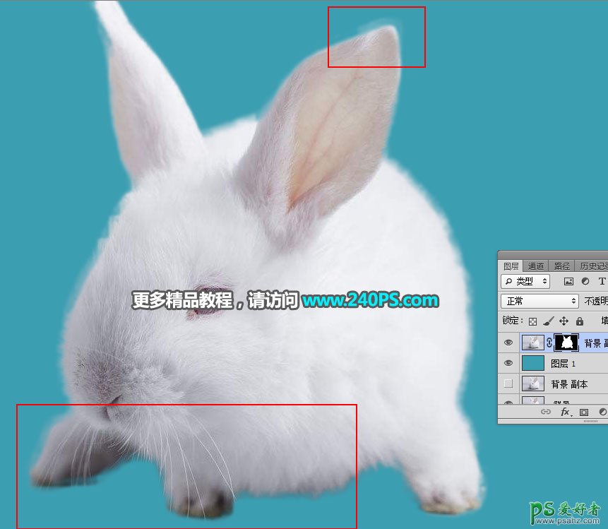 学习用PS调整边缘工具完美抠出毛绒绒可爱的小白兔素材图片
