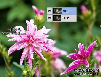 photoshop创意设计梦幻柔骄花卉图片效果教程