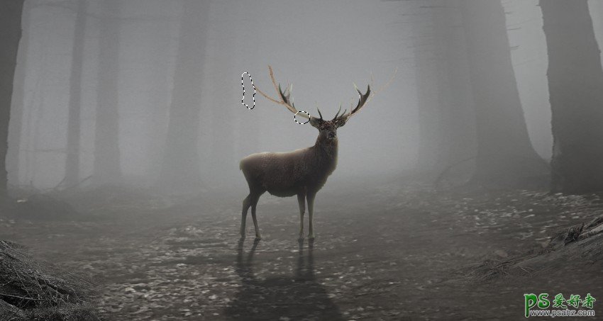 PS梦幻动物场景合成实例：打造深夜月光下迷雾森林中行走的鹿王。