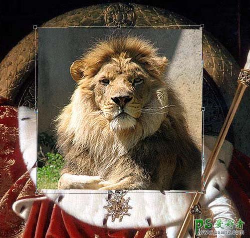 ps换脸教程：利用溶图技术把狮子头像换到人身上，人像换脸教程