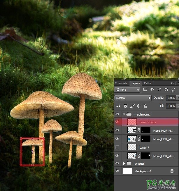 Photoshop合成唯美森林场景中的魔法小公主创意照片特效