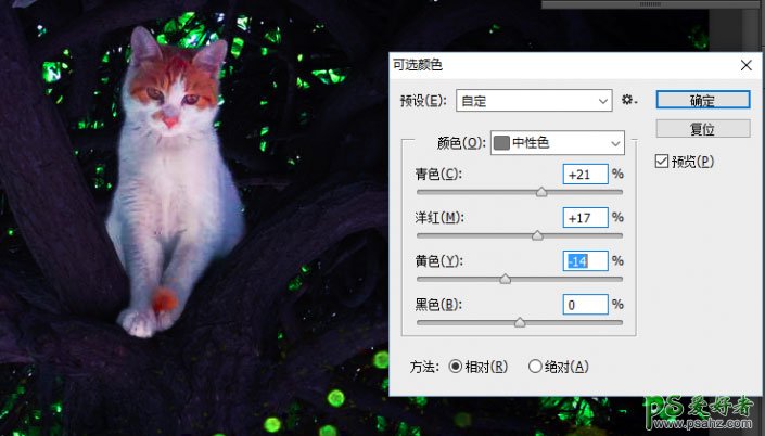 利用PS素材合成处理制作魔幻效果的暗夜猫咪图片，魔幻夜景猫咪效