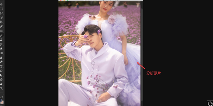 PS婚纱后期教程：给薰衣草主题的情侣婚纱照调出梦幻的紫色。