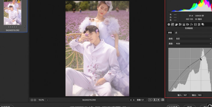 PS婚纱后期教程：给薰衣草主题的情侣婚纱照调出梦幻的紫色。
