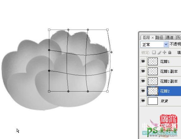 PS鼠绘教程：手绘漂亮的工笔画黑白牡丹实例教程