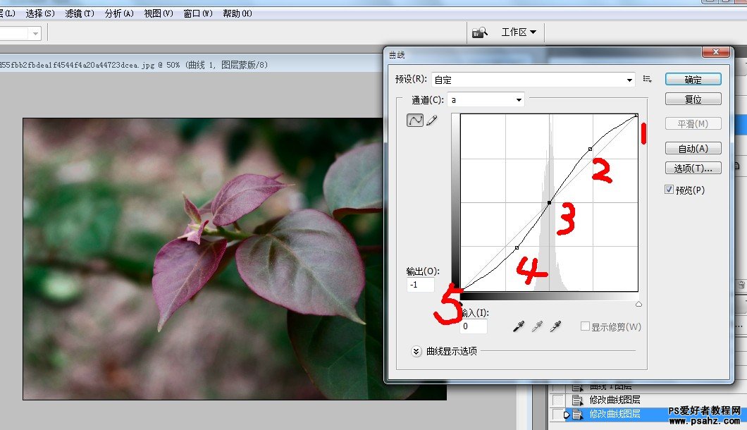 PS调色教程：在LAB模式下给灰度的花卉图片调出通透艳丽效果