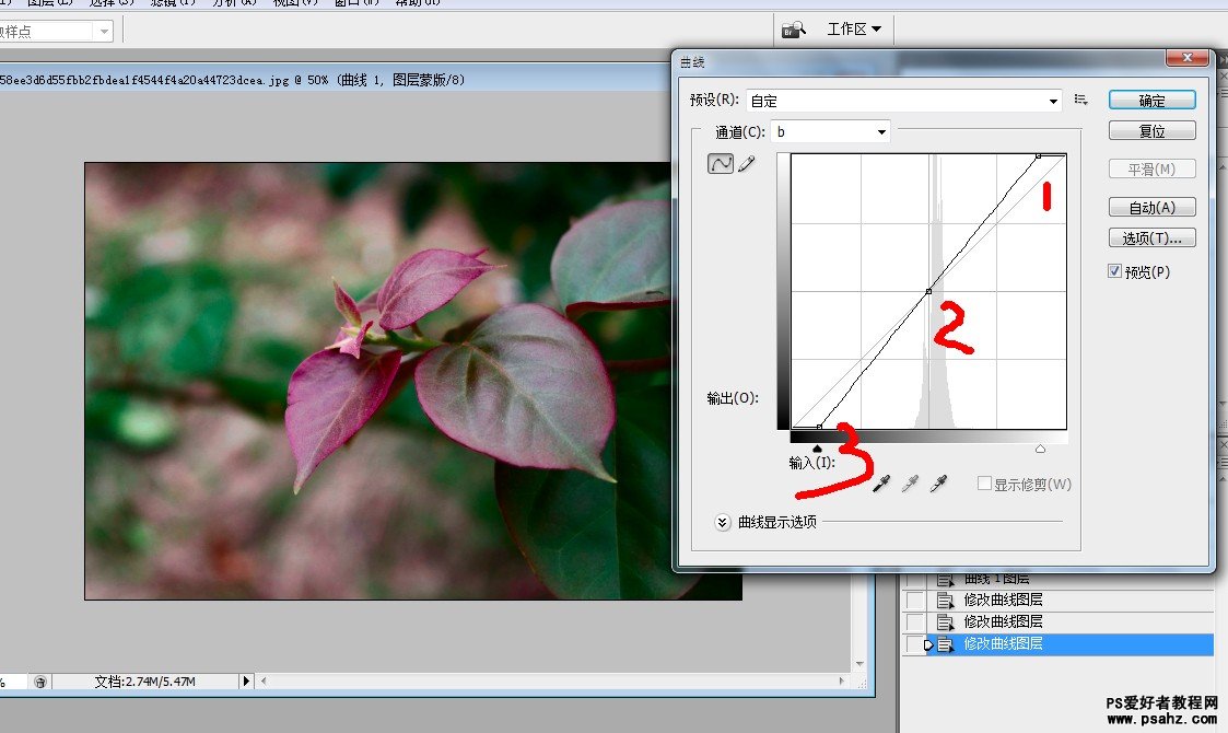 PS调色教程：在LAB模式下给灰度的花卉图片调出通透艳丽效果