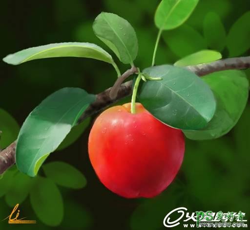 鼠绘可口的水果樱桃 PS鼠绘教程 绘制一颗逼真的樱桃