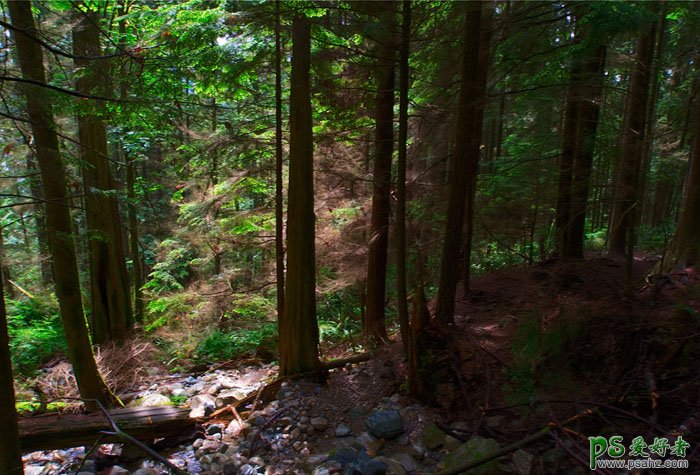 ps阳光照射效果图片处理教程：打造出森林透射光，阳光照射图片