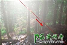 ps阳光照射效果图片处理教程：打造出森林透射光，阳光照射图片