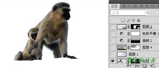 PS合成教程：创意合成一幅遥望家园的猴子环保海报