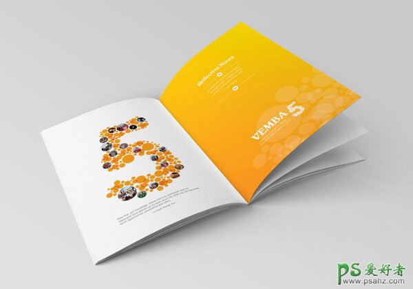 PS画册设计作品欣赏-国外优秀创意画册设计欣赏-精美的画册封面作
