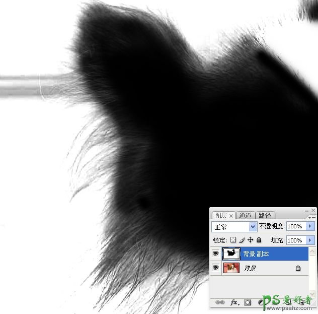 PS抠图教程：利用通道和画笔快速抠出可爱的长毛宠物狗