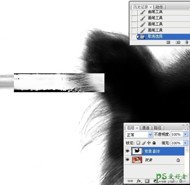 PS抠图教程：利用通道和画笔快速抠出可爱的长毛宠物狗