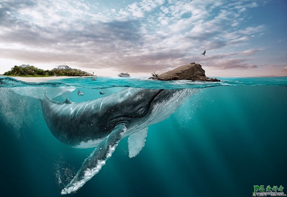 利用Photoshop合成技术制作大气的海洋动物保护类公益海报。