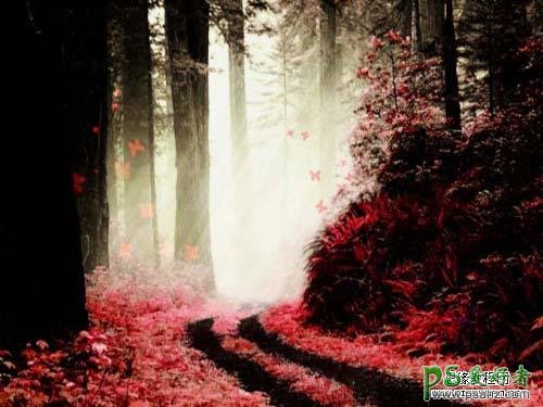 photoshop调出红色效果的小树林风景照