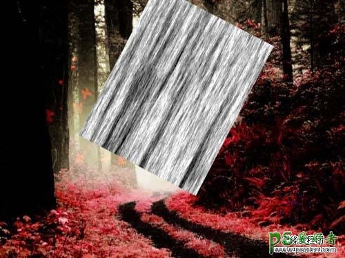 photoshop调出红色效果的小树林风景照
