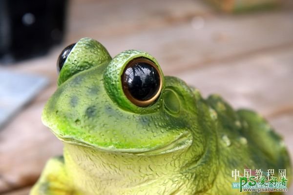 PS创意合成教程：给漂亮的小青蛙制作一对可爱的柠檬眼