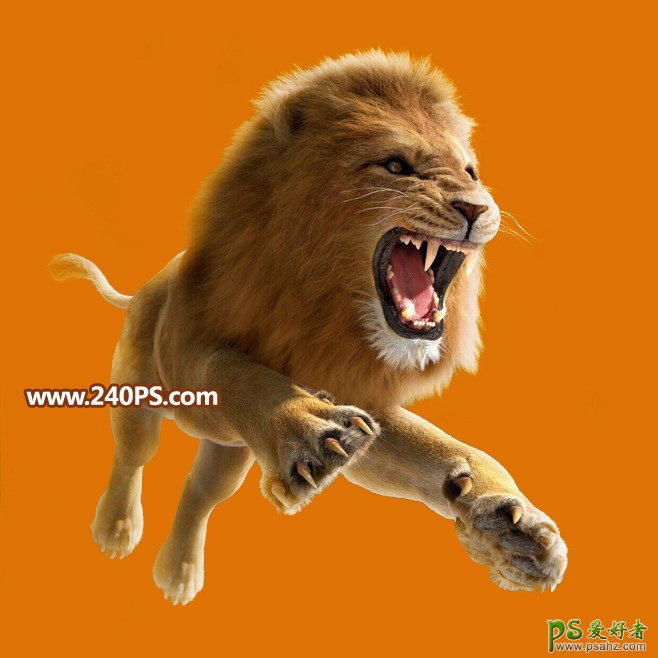 Photoshop通道抠图教程：完美抠出长毛的狮子素材图，跃起的雄狮