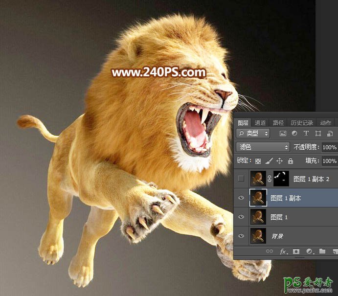 Photoshop通道抠图教程：完美抠出长毛的狮子素材图，跃起的雄狮