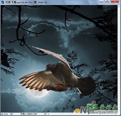 PS合成实例教程：打造一幅夜空中飞翔的信鸽场景图片
