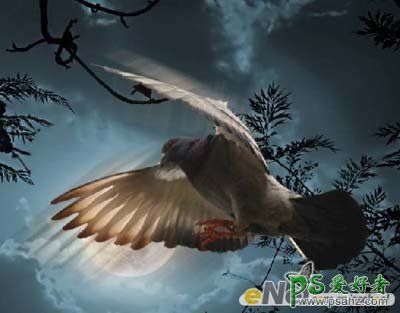 PS合成实例教程：打造一幅夜空中飞翔的信鸽场景图片