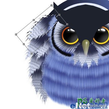 photoshop绘制一只可爱的卡通猫头鹰的素材图片