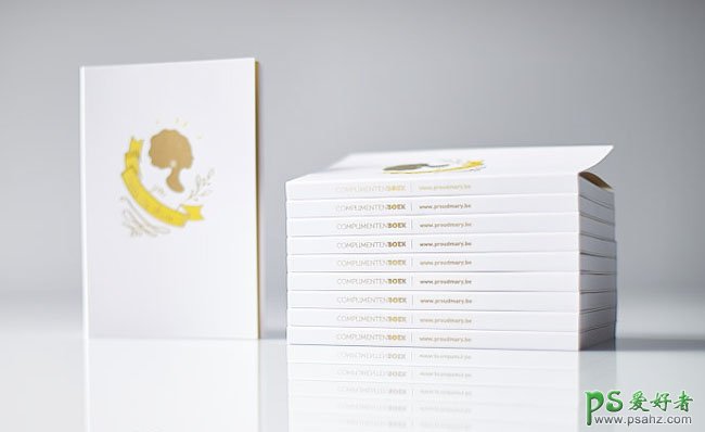 国外精美的proud mary画册设计作品，设计简洁大方的手册设计欣赏