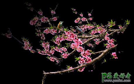 Photoshop创意合成唯美意境风格的江南园林景观图片，霞光中的园