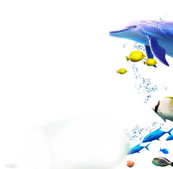 Photoshop创意合成海洋美人鱼场景，清新少女遨游海洋。