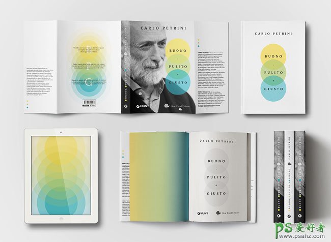 意大利设计师puntuale时尚大气的书籍封面设计作品欣赏