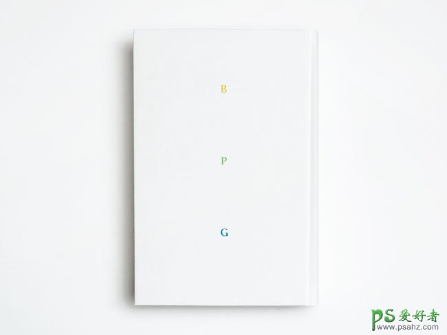 意大利设计师puntuale时尚大气的书籍封面设计作品欣赏