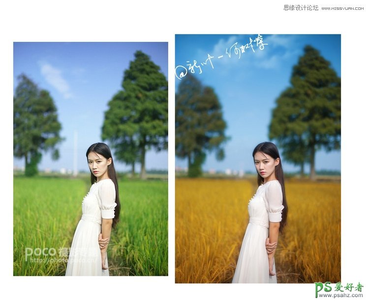 PS摄影后期教程：给外景少女自拍写真照制作出秋季淡黄色调效果